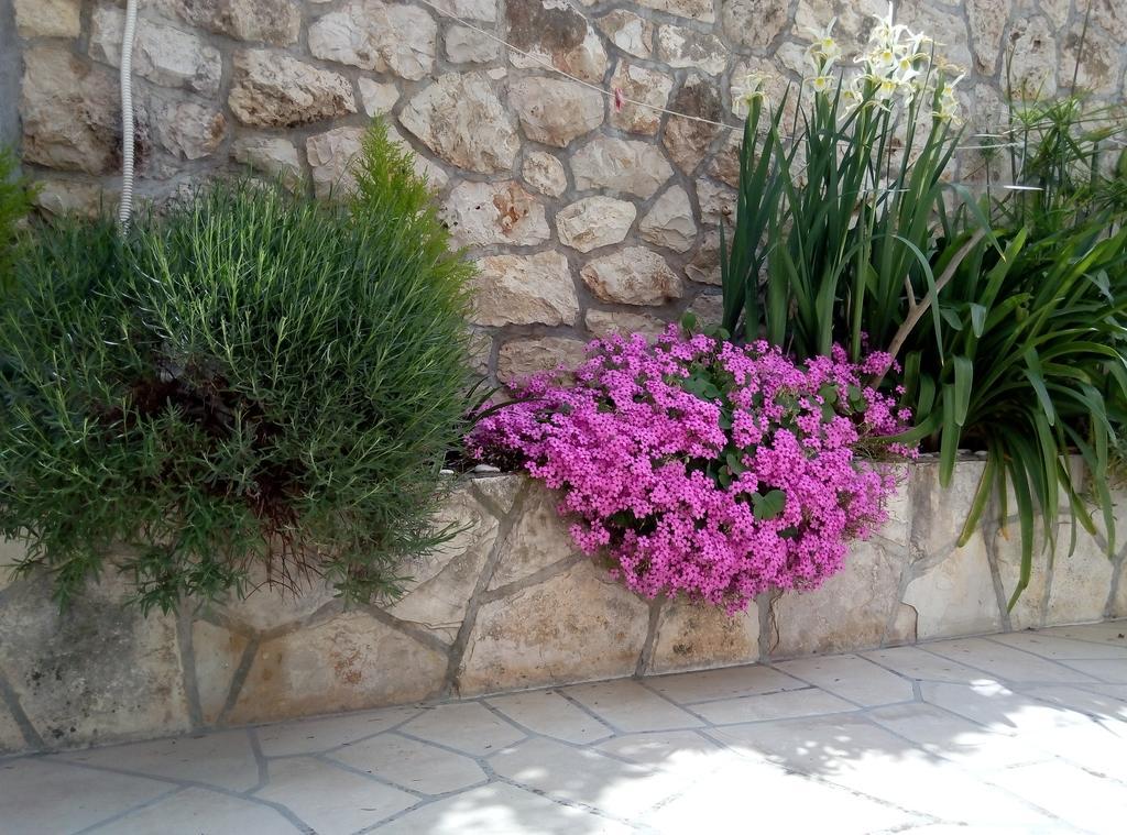 Apartments Desa Petric Χβαρ Εξωτερικό φωτογραφία
